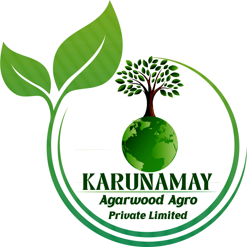 Karunamay Agarwood Logo