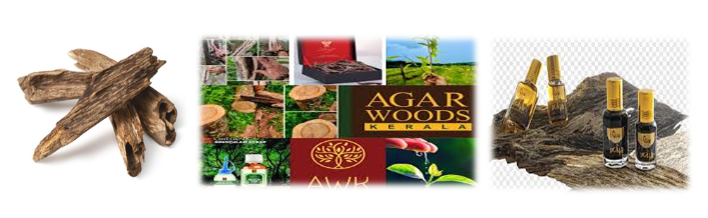 Agarwood Product